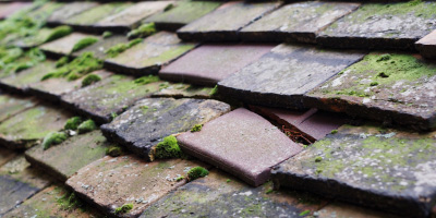 Orchard Leigh roof repair costs